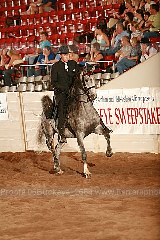 Proof 06buckeye_2664