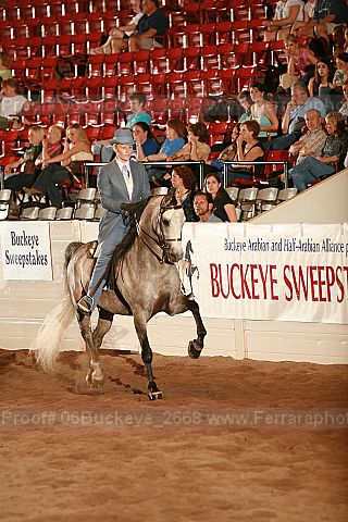 Proof 06buckeye_2668