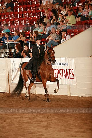 Proof 06buckeye_2669