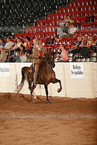 Proof 06buckeye_2670