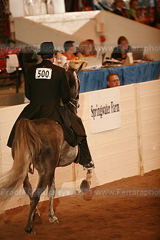 Proof 06buckeye_2671