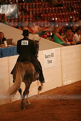 Proof 06buckeye_2672