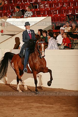 Proof 06buckeye_2673