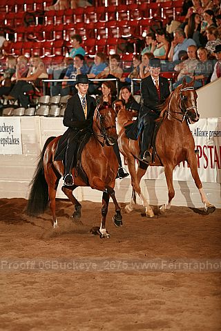 Proof 06buckeye_2675