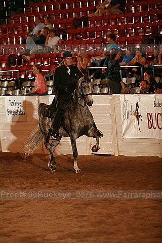 Proof 06buckeye_2676