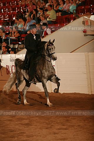 Proof 06buckeye_2677
