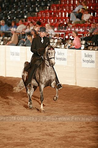 Proof 06buckeye_2680