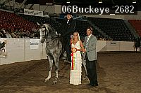 06buckeye_2682 proof
