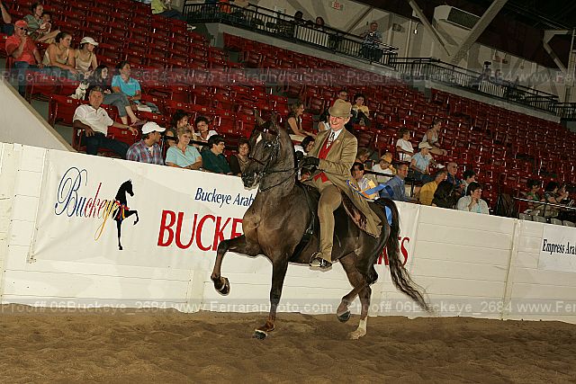 Proof 06buckeye_2684