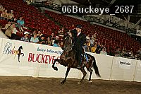 06buckeye_2687 proof