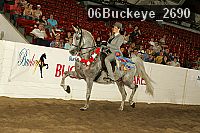 06buckeye_2690 proof