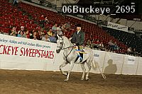 06buckeye_2695 proof