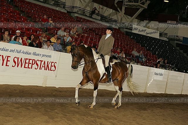 Proof 06buckeye_2697