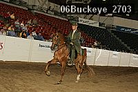 06buckeye_2703 proof