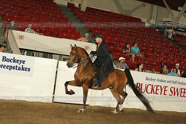 Proof 06buckeye_2704