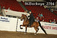 06buckeye_2704 proof