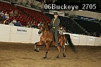 06buckeye_2705 proof