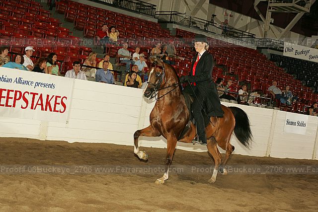 Proof 06buckeye_2706
