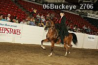 06buckeye_2706 proof