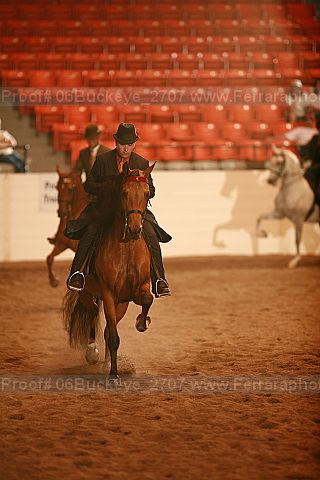 Proof 06buckeye_2707