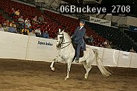 06buckeye_2708 proof
