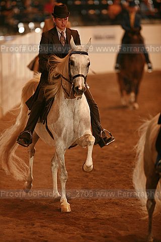 Proof 06buckeye_2709