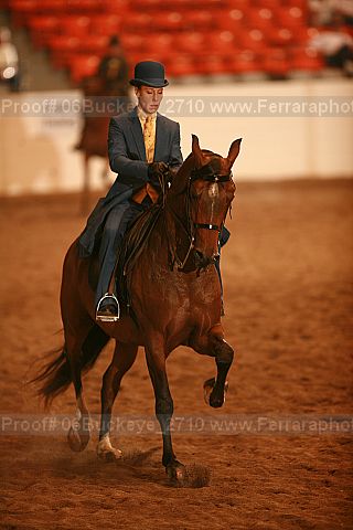 Proof 06buckeye_2710