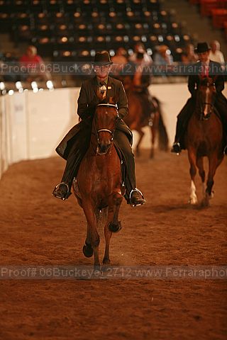 Proof 06buckeye_2712