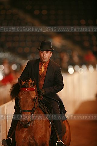 Proof 06buckeye_2715