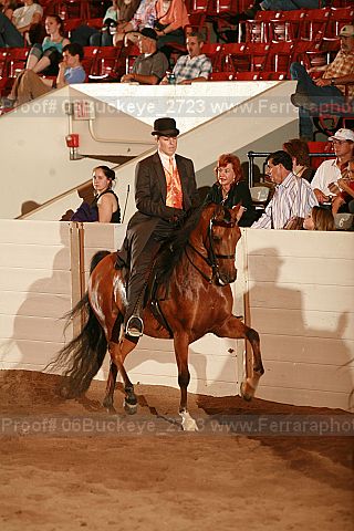Proof 06buckeye_2723