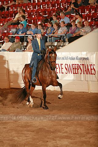 Proof 06buckeye_2727