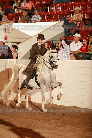 Proof 06buckeye_2728