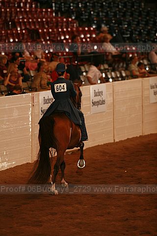 Proof 06buckeye_2729