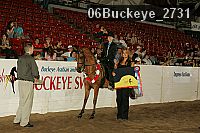 06buckeye_2731 proof