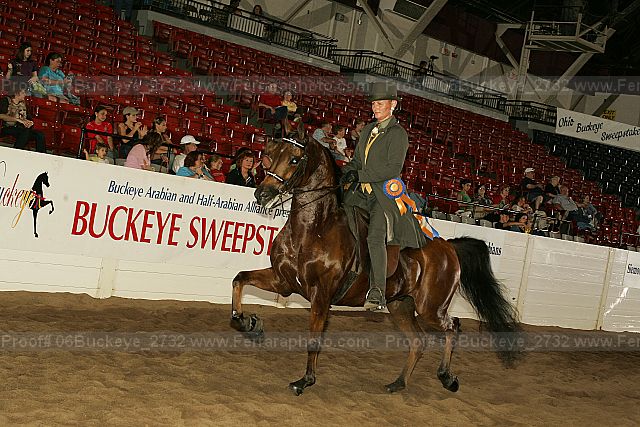 Proof 06buckeye_2732
