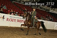 06buckeye_2732 proof