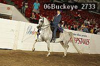 06buckeye_2733 proof