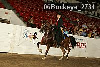 06buckeye_2734 proof
