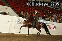 06buckeye_2735 proof