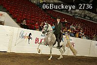 06buckeye_2736 proof