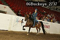 06buckeye_2737 proof