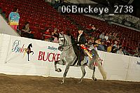 06buckeye_2738 proof