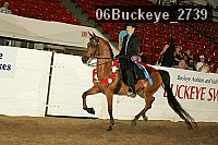 06buckeye_2739 proof