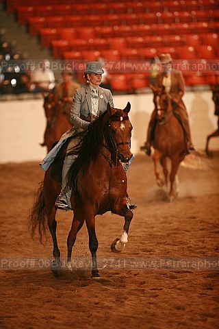 Proof 06buckeye_2741