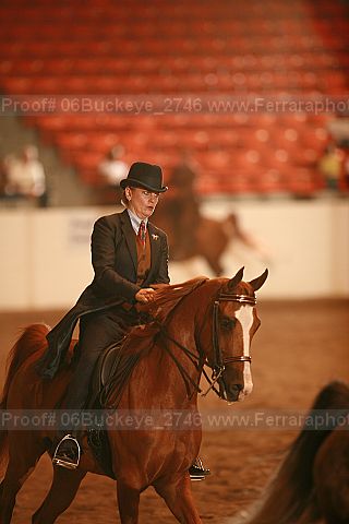 Proof 06buckeye_2746