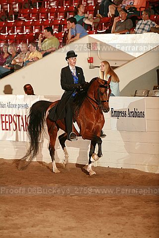 Proof 06buckeye_2758
