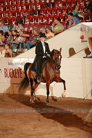 Proof 06buckeye_2759
