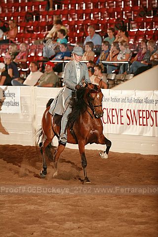 Proof 06buckeye_2762