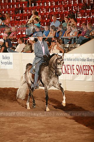 Proof 06buckeye_2763