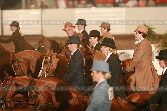 Proof 06buckeye_2768